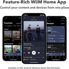 WiiM Ultra 音樂串流器 – 高解析度數位前置放大器