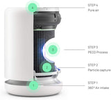 Molekule Air Mini+ Bedroom-Size FDA-Cleared Medical Grade Air Purifier (PECO Purification Technology) 